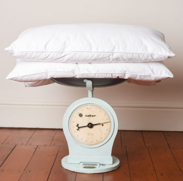 Mulberry SILK FILLED PILLOW - Peony Box